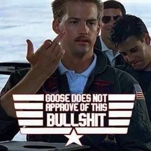 Meet your Posher, Goose